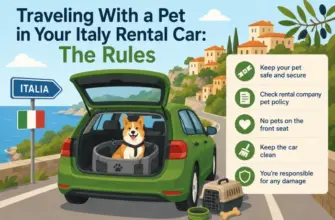 Traveling With a Pet in Your Italy Rental Car